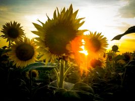 Test – Na kolik procent je má duše sladěna s&nbsp;mým tělem