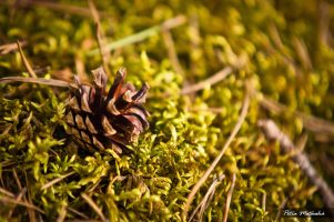 Příběh Jitky – regresní terapie