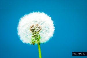 Jak je to s naší duší?