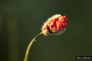 10 důvodů proč jsou zbloudilé duše