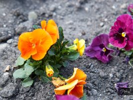 10 nejčastějších obav z regresní terapie