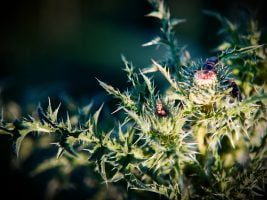 Jsem ztracen a&nbsp;zatracen, už mi není pomoci